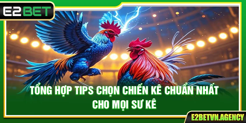 Tổng Hợp Tips Chọn Chiến Kê Chuẩn Nhất Cho Mọi Sư Kê 3 Tổng Hợp Tips Chọn Chiến Kê Chuẩn Nhất Cho Mọi Sư Kê