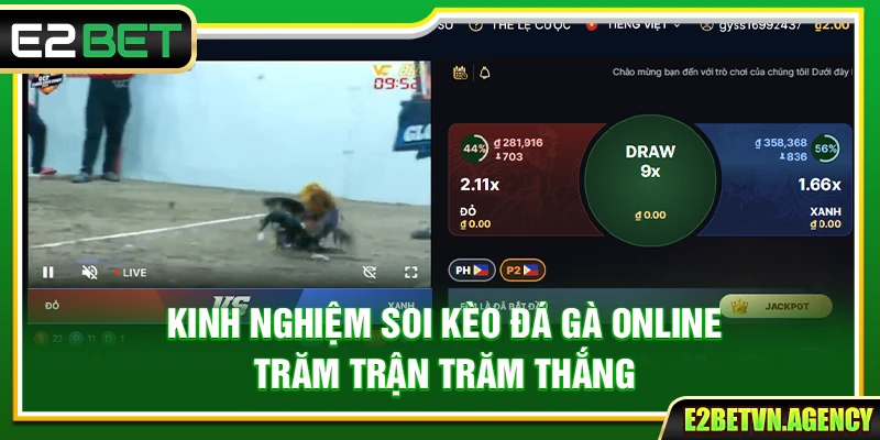 Kinh Nghiệm Soi Kèo Đá Gà Online Trăm Trận Trăm Thắng 2 Kinh Nghiệm Soi Kèo Đá Gà Online Trăm Trận Trăm Thắng