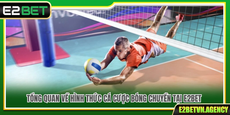 Cá Cược Bóng Chuyền E2bet – Cách Chơi Và Chọn Kèo Hiệu Quả 2 Khái quát hình thức cá cược bóng chuyền tại E2Bet