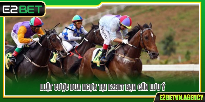 Cá Cược Đua Ngựa E2bet – Trải Nghiệm Tốc Độ Cực Cuốn 3 Những quy định cá cược đua ngựa tại E2bet