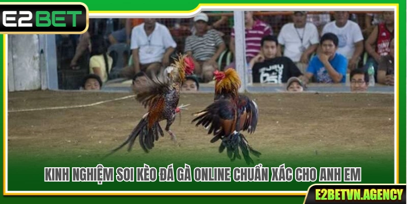 Kinh Nghiệm Soi Kèo Đá Gà Online Trăm Trận Trăm Thắng 3 Kinh nghiệm soi kèo đá gà online chuẩn xác